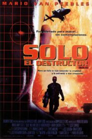 Solo, El Destructor Online En Netflix