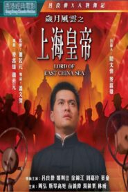 歲月風雲之上海皇帝 Online En Netflix