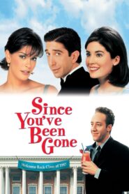 Since You’ve Been Gone Online En Netflix
