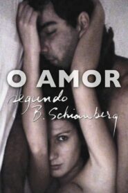 O Amor Segundo B. Schianberg Online En Netflix
