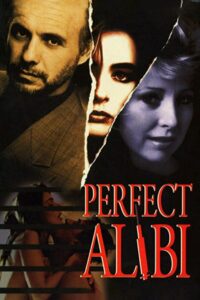 Perfect Alibi Online En Netflix
