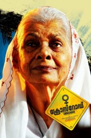 ക്രോസ്റോഡ് Online En Netflix