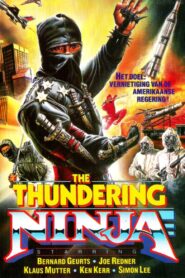 The Thundering Ninja Online En Netflix