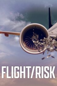 Flight/Risk Online En Netflix