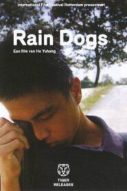 太陽雨 Online En Netflix
