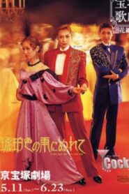 琥珀色の雨にぬれて Online En Netflix