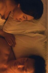 접점 Online En Netflix