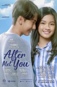 After Met You Online En Netflix