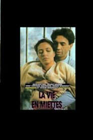 La vita in Briciole Online En Netflix