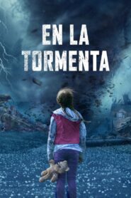 En la tormenta Online En Netflix