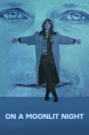 On a Moonlit Night Online En Netflix