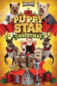 Pup Star: Navidad Online En Netflix