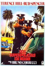 Dos súper policías en Miami Online En Netflix