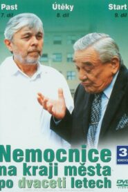 Nemocnice na kraji města po dvaceti letech 2003 En Netflix