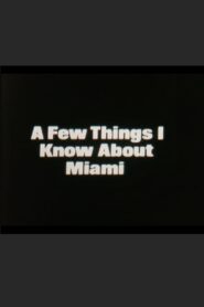 A Few Things I Know About Miami Online En Netflix