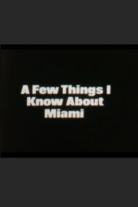 A Few Things I Know About Miami Online En Netflix