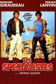 Les Spécialistes Online En Netflix