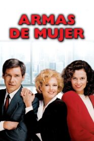 Secretaria ejecutiva Online En Netflix