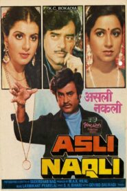 Asli Naqli Online En Netflix