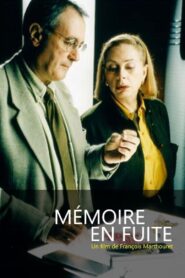 Mémoires en fuite Online En Netflix