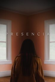 Presencia Online En Netflix