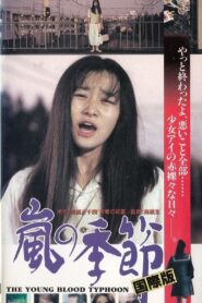 嵐の季節 Online En Netflix