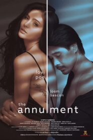 The Annulment Online En Netflix