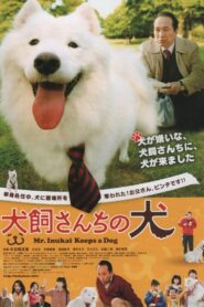 犬飼さんちの犬 Online En Netflix