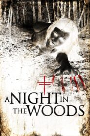 A Night in the Woods Online En Netflix