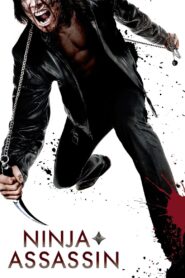 Ninja Asesino Online En Netflix