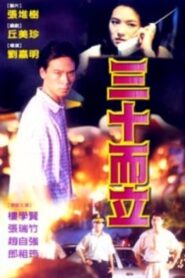 三十而立 Online En Netflix
