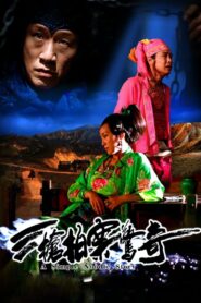 三枪拍案惊奇 Online En Netflix