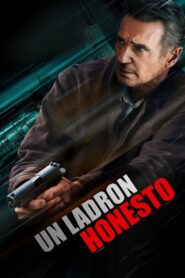 Venganza Implacable Online En Netflix