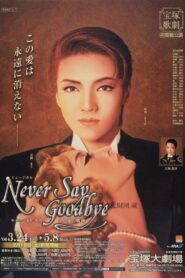 NEVER SAY GOODBYE－ある愛の軌跡－ Online En Netflix