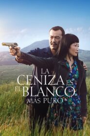 Esa mujer Online En Netflix