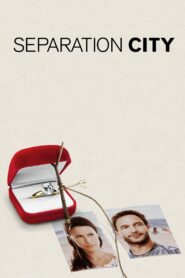 Separation City Online En Netflix