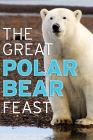 The Great Polar Bear Feast Online En Netflix