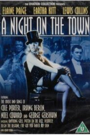 A Night on the Town Online En Netflix
