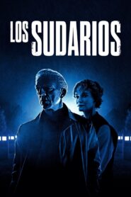 The Shrouds Online En Netflix