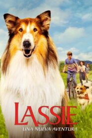 Lassie – Ein neues Abenteuer Online En Netflix
