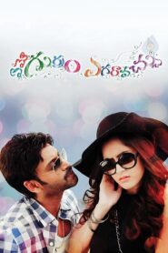 ఏమో గుర్రం ఎగరావచ్చు Online En Netflix