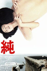 純 Online En Netflix