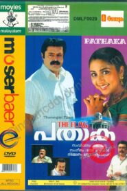 പതാക Online En Netflix