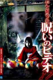 ほんとにあった！呪いのビデオ17 Online En Netflix