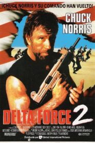 Fuerza delta 2 Online En Netflix