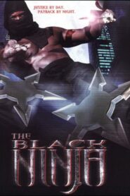The Black Ninja Online En Netflix