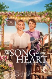 The Song to My Heart Online En Netflix