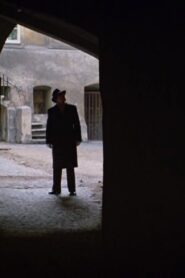 Wissen Sie nicht, wo Herr Kisch ist? Online En Netflix