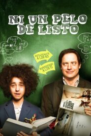 Hairbrained Online En Netflix