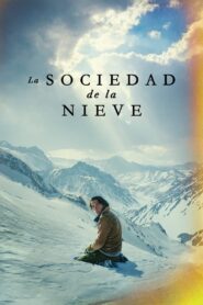 La sociedad de la nieve Online En Netflix